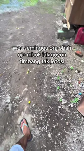 Ojo mbok ganggu aku lagi mumet #xybca #foryoupage 