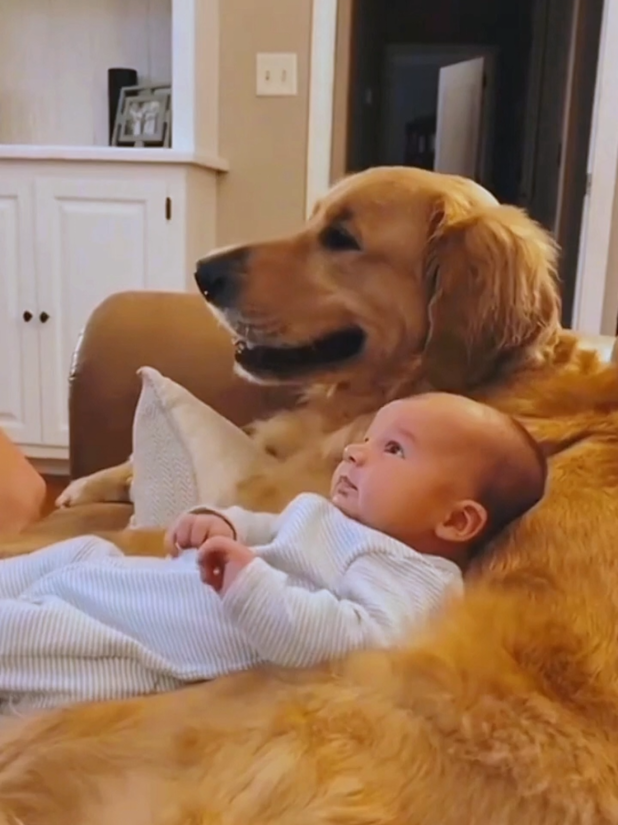 Sweet Stories of Friendship Between Dogs and Children #Funny #dog #baby #dogsoftiktok #dogandbaby 