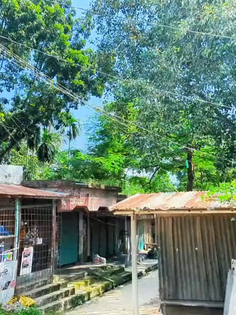 Pixel Quality 💝##pixel6 #foryoupagе ##googlepixel ##foryoupage #nesaralvideo #vairalvideo #pixel6 #pixel