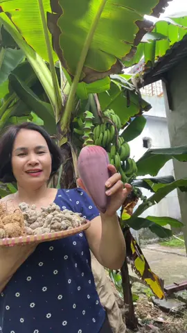 #tamthattutam #hongtutaybac #xuhuong #chamsocsuckhoechudong #Tuhong  @Tam thất từ tâm 