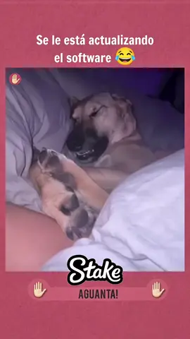 😂😂😂
