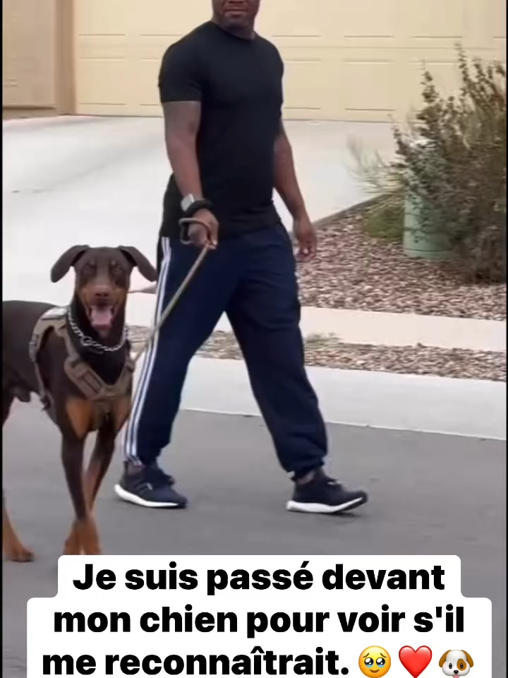 #doglife #sentiment