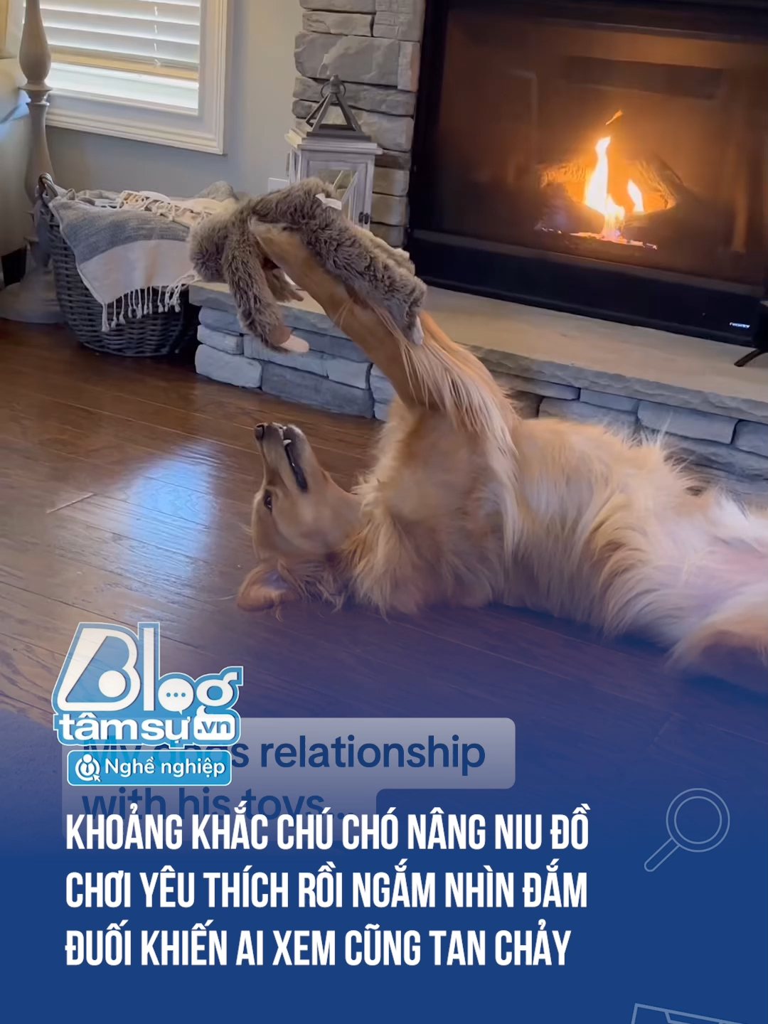 Nhìn nó cưng chiều chưa kìa #discovery #blogtamsu #xuhuong #btsmedia #tiktoknews #haihuoc #funfact #viral #cho #dangyeu