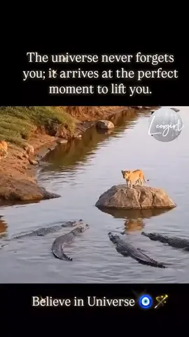 #🔥🔥🔥🔥🔥🔥🔥🔥🔥🔥 