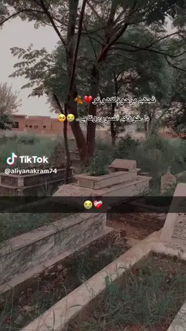 Allah Tala Sab bhaiyon ki Jannat mein Jagah Aana Mukam farmaye Qabar ke liye