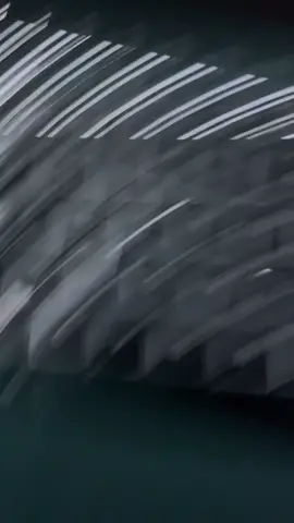 we use jawa language chattt!! jawa joined the trend #coding #lyrics #lyrics_songs 