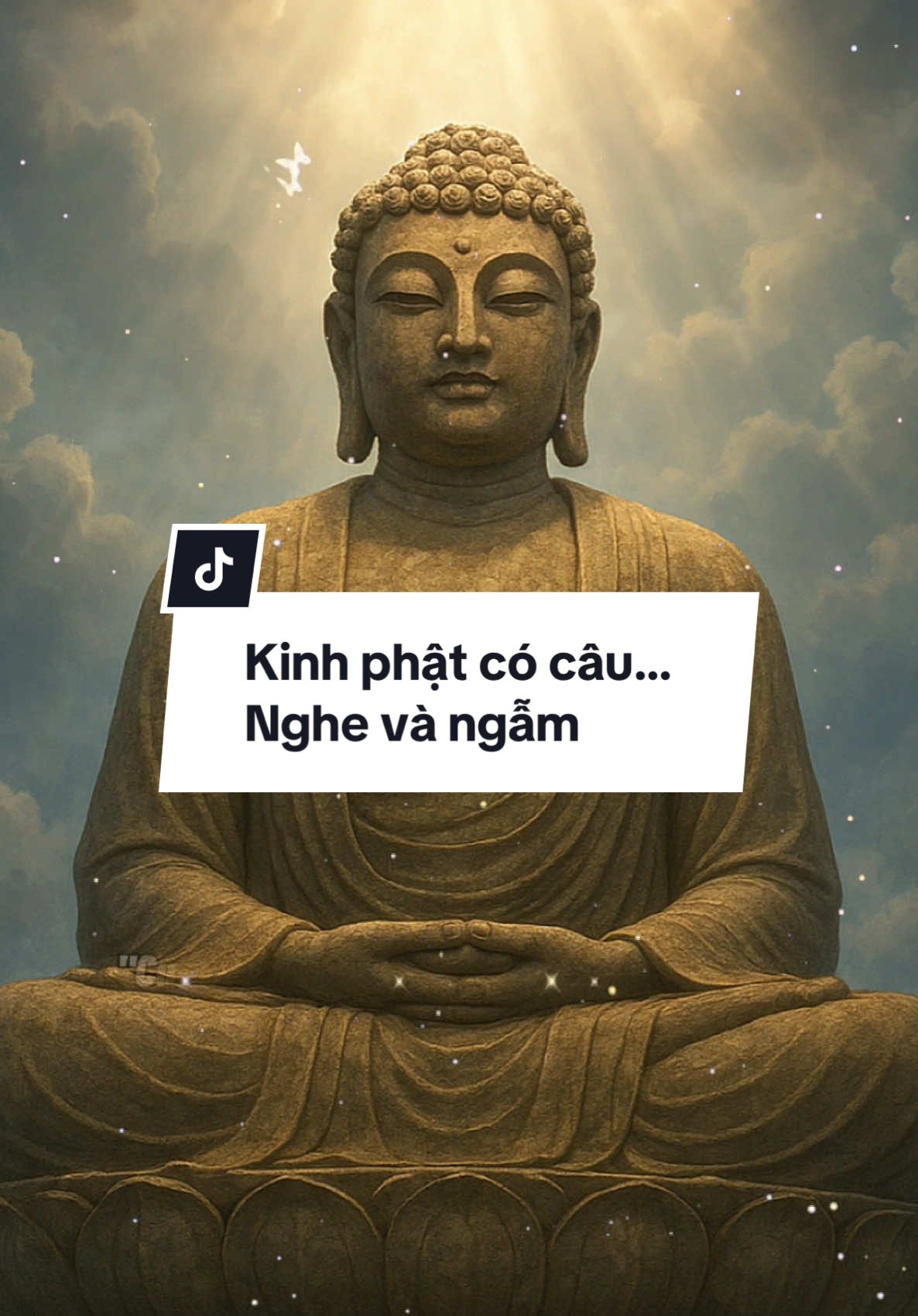 Kinh phật có câu rất hay là… | Nghe và ngẫm #phậtpháp #phatphapnhiemmau #Truestories6868 #caunoitrongkinhphat 
