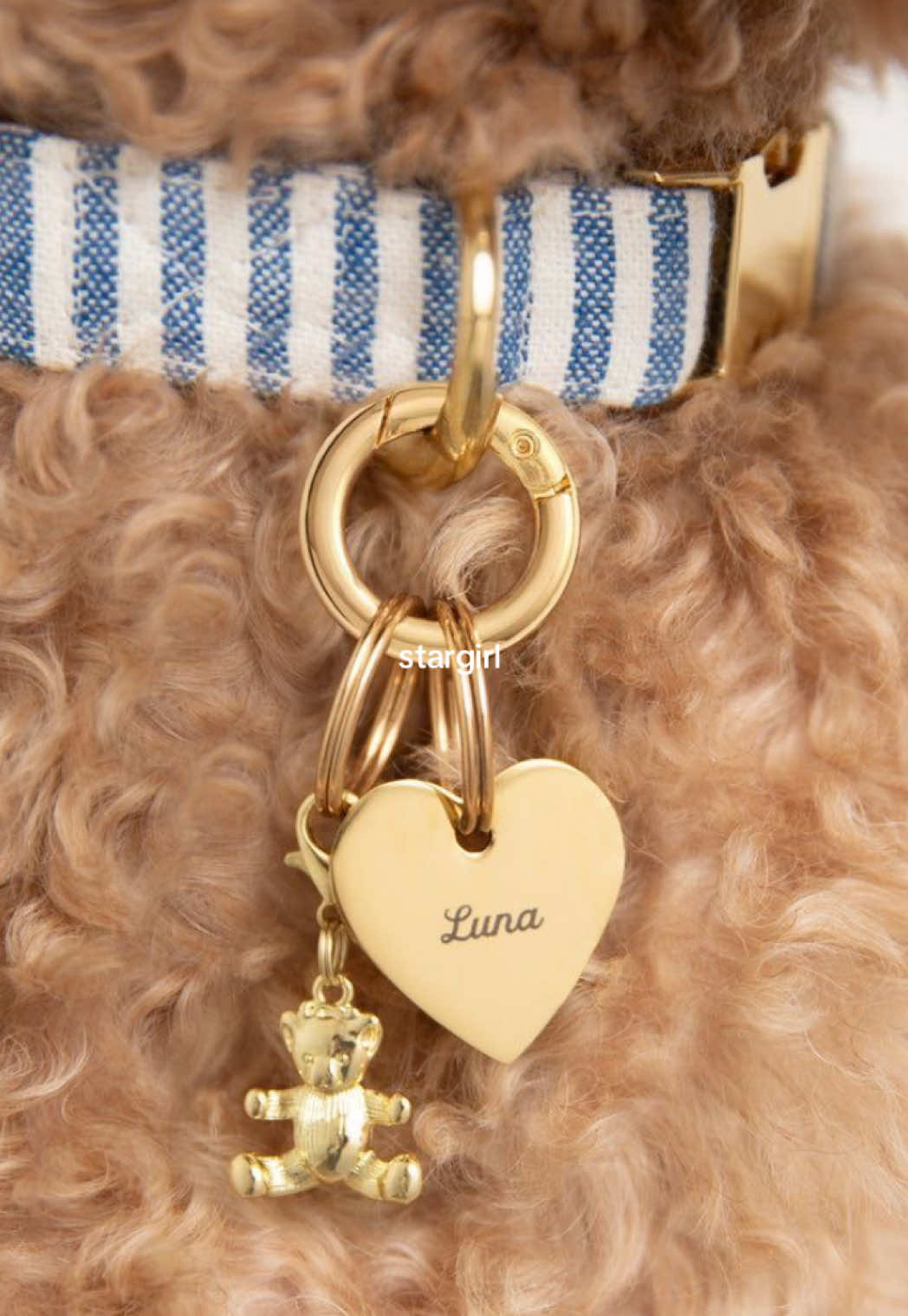 stargirl ⭐️ #fyp #pinterestaesthetic #moodboard #targetaudience #chic 