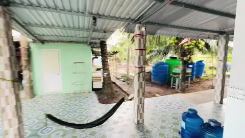 Sáng mưa chìu ui ui #mientay #camau #xuhuong #xh #😂😂😂 