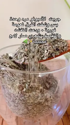عشان كذا العشبه ذي نادره ما تحصلينها بسهوله لانه رهيب بشكل فظيع !!!! #عشبه_الامبونو 