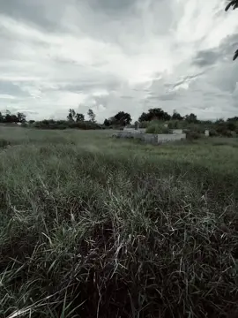 vết thương ngoài da thì có thể xóa đi và lành lại, nhưng vết thương trong tim thì ko thể xóa, bởi vì nếu mình xóa đi nó sẽ chảy máu...!❤️‍🩹#xuhuong #tamtrang 