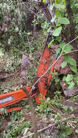 quá may cho chủ máy và lái máy các cụ ghánh còng lưng🤔