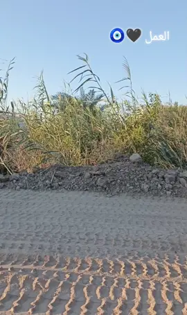 #العمل #اللهم_صلي_على_نبينا_محمد #سواق_تريلات_العراق_بازوايا🏁✈️📞 #الخطوط_الارضيه_العراقيه #العراق_السعوديه_الاردن_الخليج 