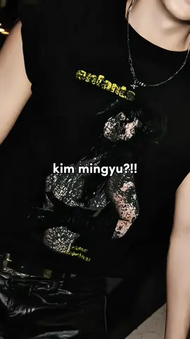Pantes baju nya gak asing ternyata pernah dipakai pas nonton hxw😭🙏🏻 #kimmingyu #mingyu #seventeen 