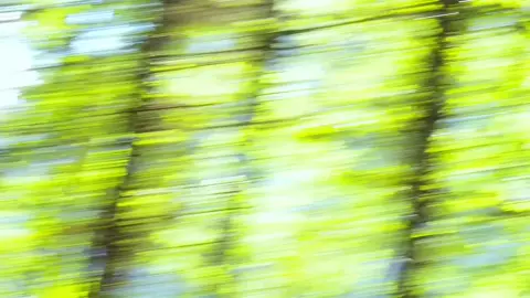 Ngày bạn biết yêu bản thân ,thì cả thế giới sẽ yêu bạn🍃 #thiennhien #chualanh #caption #yenbinh 