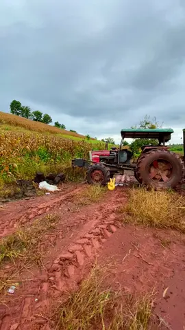 Đội này mạnh🤣60kg giống hết trong tích tắc #xuhuongtiktok #wiu #chill 