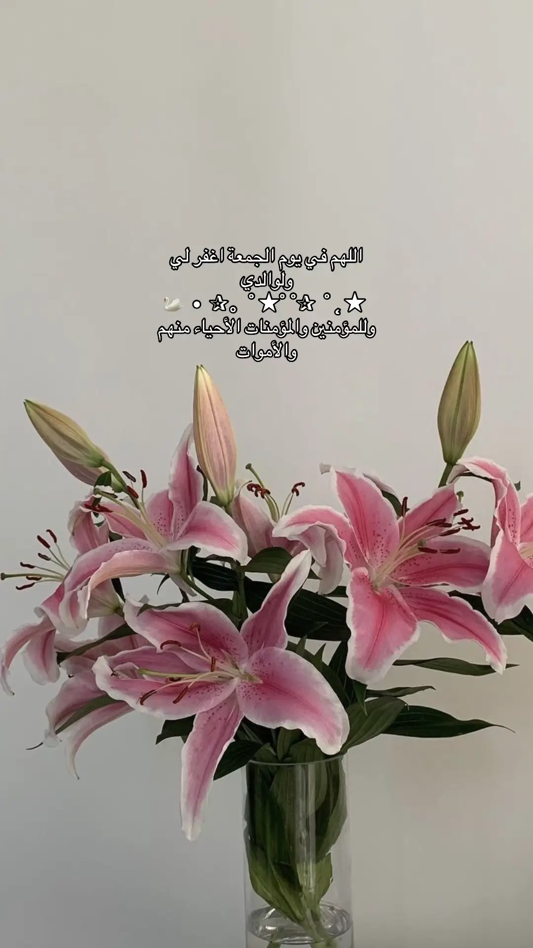 #اسلام_صبحي #سورة_الكهف_نور_بين_الجمعتين_الدعاء #يوم_الجمعة_اللهم_صل_على_نبينا_محمد #نشر #fypage 