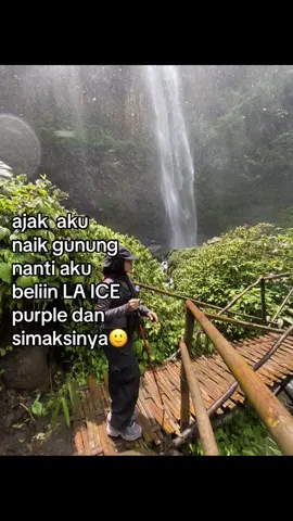 mau gk mas #4u #pendakifomo#fypシ゚ #lewatberandafyp 