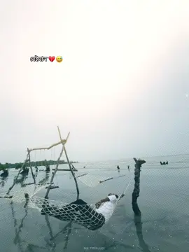 Beiman 😅💔 #vairal #view #views 