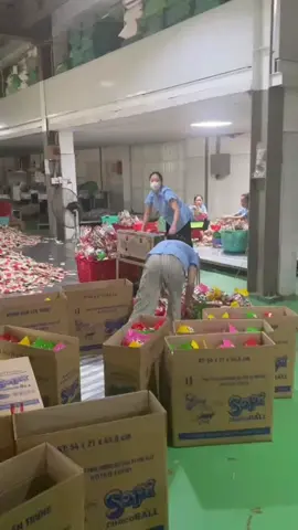 Đóng gói bánh kẹo#vieclam #xh #tiktok #timvieclam 