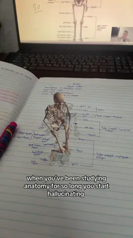 #biology #anatomy 