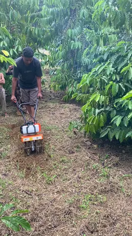 Reaim Mini Tiller Bensin Mikro#petaniindonesia #petaniindonesia🇮🇩🇮🇩🇮🇩🌿🌿 #pfypシviral🖤tiktok☆♡ #pfypシviral🖤tiktok☆♡ #pemudasuksesmasadepan 