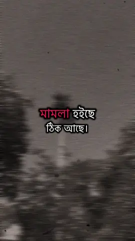 Deka hobe inshaallah #আওয়ামী_লীগ #ছাএলীগ #foryou #জয়_বাংলা_জয়_বঙ্গবন্ধু🇧🇩 #fypシ゚viral🖤tiktok☆♡🦋myvideo @TikTok 