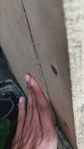 #snake 