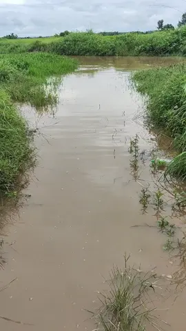 #ငါးပဲမျှားတော့မယ်😁 #ငါသေမှပဲfypပေါ်ရောက်မှာလား😑😑 