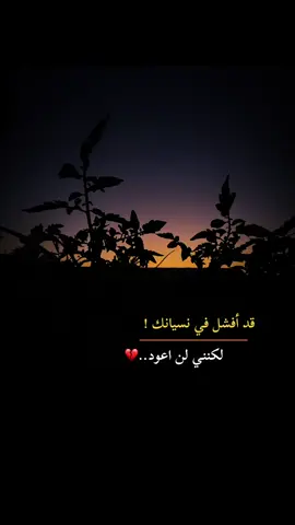 #عباراتكم🥀 #😔💔🥀 #تصويري📷 #تصميم_فيديوهات🎶🎤🎬 #تصويري📷احترافي_الاجواء👌🏻🕊😴 #تصوير_ايفون #المصمم_حسوني🚸🔕 