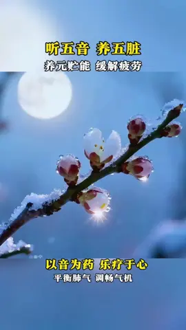 Dù em không còn là ngôi sao trong cuộc đời anh, nhưng anh vẫn nhớ rằng ánh sáng của em đã từng chiếu rọi vào anh, và anh tin rằng chúng ta sẽ không hối hận vì đã xuất hiện trong cuộc đời nhau. Khi gặp lại, bạn có thể mỉm cười nói về điều đó, may mắn được gặp gỡ, không bao giờ quên trong đời, may mắn được yêu thương, không sợ núi biển. #anhtrungofficial 