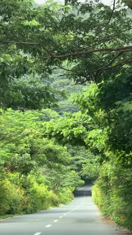 #fyp #nature 🍃