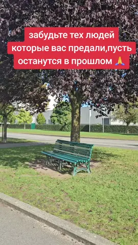 #обман #лицемерие #предательство #близкие 