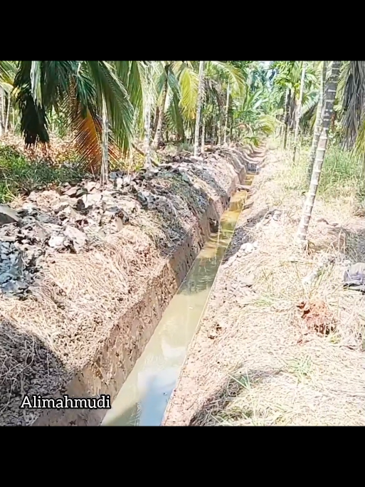 gak banyak pendapatan 
