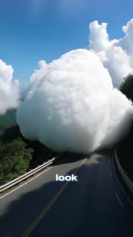10 Natural Phenomena Too Weird to Believe—But Totally Real