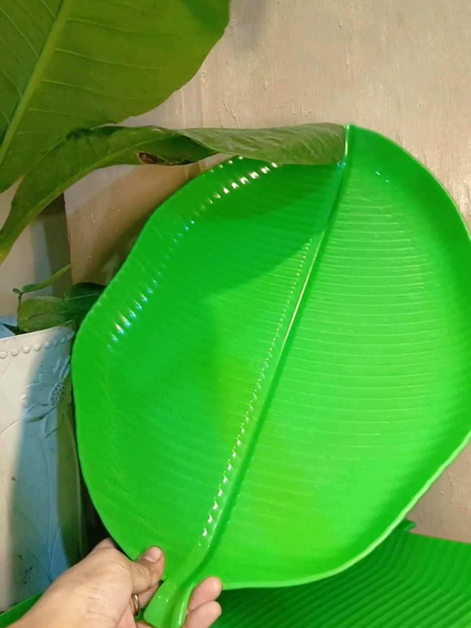 BANANA LEAF TRAY/ BANANA LEAF PLATE #fyp #fypシ゚viral #affiliatetiktok 