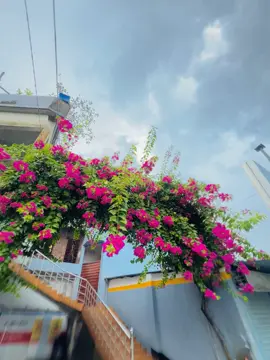 আমার শেষ নিঃশ্বাসও যেন তোমার আলিঙ্গনে মিশে যায়💗❤️‍🩹#shahariar_parvezz #santahar_bogra #fryyyyyyyyyyyyyyyyyyyyyyyyy #weather 