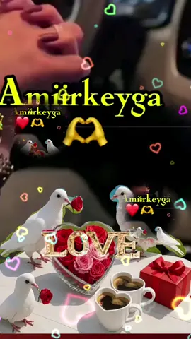 #sacdiyocadeyforyufyp 