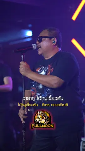 ไอ้หมูเขี้ยวตัน - ธีเดช ทองอภิชาติ#ไอ้หมูเขี้ยวตัน #ธีเดชทองอภิชาติ #เรามันเทสใต้ #fullmoonsongkhla 