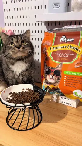 Cat food reco 🧡 Petyum Carnivore Classics  #petyum #petyumcarnivoreclassics #petyumdryfood #catfood #catdryfood 