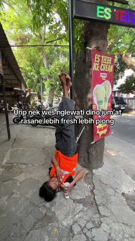 Bud budi goleki adikmu 🤣