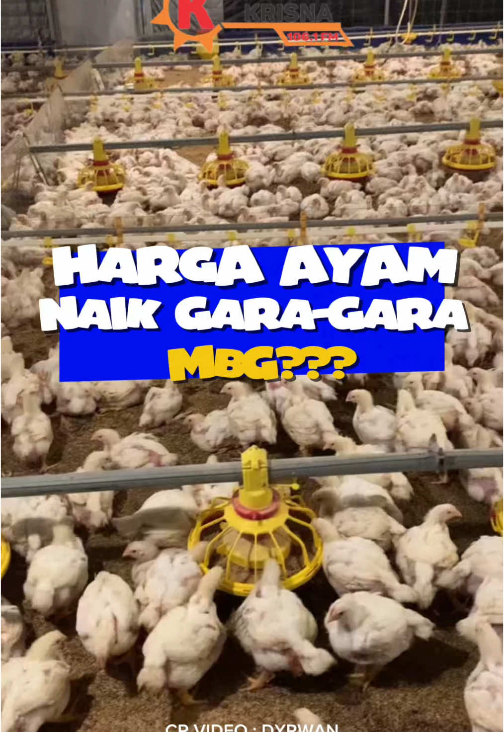 Harga daging ayam di Nganjuk naik jadi Rp36 ribu/kg. Bukan karena langka, tapi pasokan ke pasar turun 20% gara-gara permintaan tinggi dari program Makan Bergizi Gratis (MBG). Meski begitu, stok ayam masih aman kok. Pemkab janji bakal pantau terus biar harga tetap terkendali.  Kalau menurut kamu, gimana cara terbaik biar program MBG jalan terus tapi harga ayam di pasar tetap stabil?