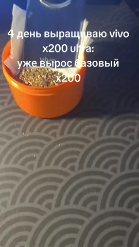 4 день выращиваю vivo x200 ultra: уже вырос базовый х200