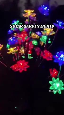 Solar garden lights perfect for outdoor decor ✨😍🛒 #solarlights #gardensolarlights #outdoorsolarlight #trending #fyp 