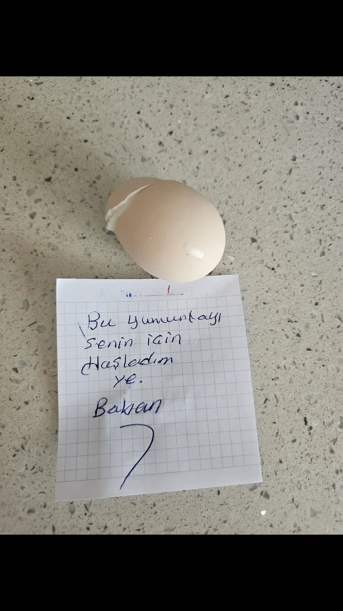 Annem Vefat edeli 59 gün oldu. Ben 27 yaşındayım ve hayatım boyunca haftanın 7 günü her sabah 1 adet yumurta yedim. çünkü annem bana hergün 1 adet yumurta haşlardı kahvaltıda.. 59 gündür 1 tane bile yumurta yemedim taki sabah kalkıp mutfağa girdiğimde bu notla karşılaşıncaya kadar gerçekten hayat çok zor. insanın ailesinden birini kaybetmesi çok Acı Babam İyiki varsın. Şu nota bakıp saatlerce ağladım ve o yumurtayı yedim.