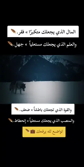 #تواضع_للناس_يتواضع_الله_لك #دمتم_بالخير_والسعاده_اينما_كنتم #tiktokviral #اكسبلور #اكسبلور 