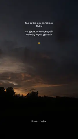 අමුතු පාලුවක් දැනෙනවා 🥹🫶🥹 #trending_song #whatsapp_status #lifewithme433 #fyppppppppppppppppppppppp #sibilings 