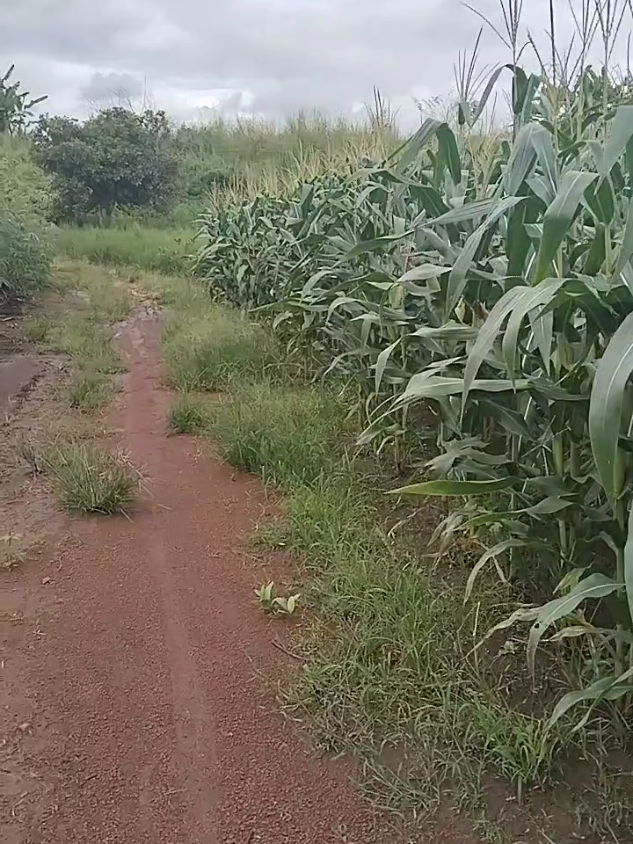 ai quan tâm LH không 862017368#batdongsan 