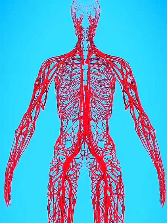 if we remove blood vessels #intrestingfacts #sciencefacts #experiment #facts #trending 