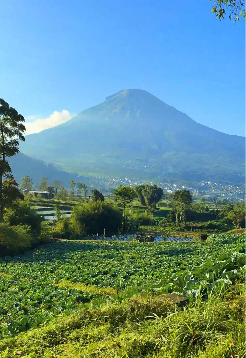 Gak cuma Bandung, #Dieng juga lahir ketika Tuhan sedang tersenyum. #fyp 